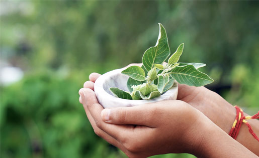 Blog_Relax_Ashwagandha