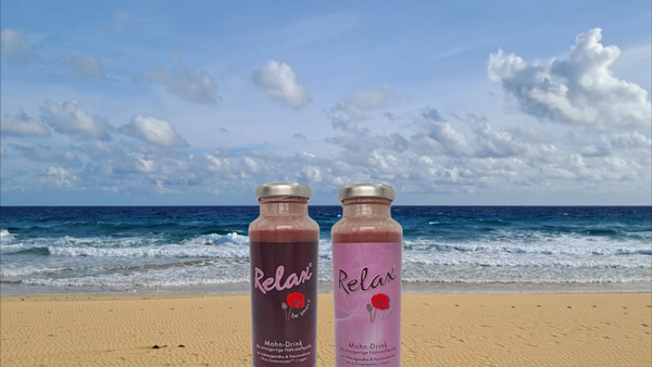Relax Klassik und Relax Light stehen am Strand mit Blick auf Meer